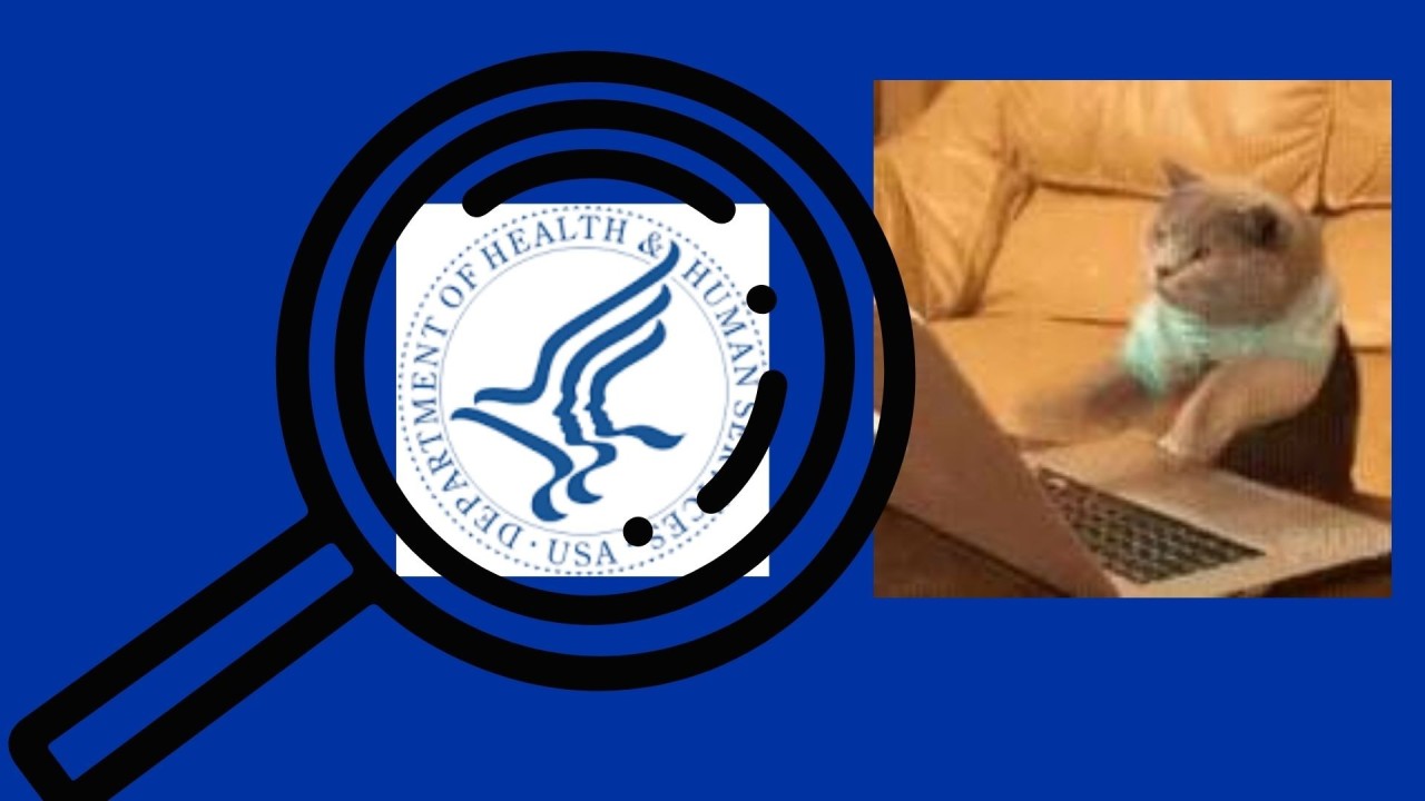 I Built a Healthcare Claims Explorer on Newly Public Government Data — Here's What I Found